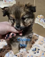 processed/a785401b-5dd3-470f-81ae-a4435096aa13/listing/23ad1ec0-c9c4-411f-a967-66db62bf1e54/516b40be-6a88-48a7-bc56-53aa5f8a3e01