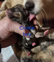 processed/a785401b-5dd3-470f-81ae-a4435096aa13/listing/23ad1ec0-c9c4-411f-a967-66db62bf1e54/5f98e544-397b-4132-9850-4fa1e9694762