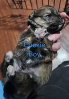 processed/a785401b-5dd3-470f-81ae-a4435096aa13/listing/23ad1ec0-c9c4-411f-a967-66db62bf1e54/bbe1d7e0-70e7-456a-bf88-459b1950c890