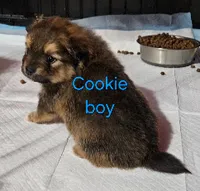 processed/a785401b-5dd3-470f-81ae-a4435096aa13/listing/23ad1ec0-c9c4-411f-a967-66db62bf1e54/dccb01ec-7963-406b-83af-3819e3d99c3a