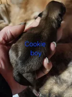 processed/a785401b-5dd3-470f-81ae-a4435096aa13/listing/23ad1ec0-c9c4-411f-a967-66db62bf1e54/fa25308e-2b90-4892-8b0d-d517ef644852