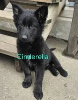 processed/a785401b-5dd3-470f-81ae-a4435096aa13/listing/3e1eed6f-e431-4ed4-9509-f331fd75ed3d/421b4acf-1f71-4e37-9b7c-de1028fa44d1