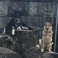 processed/a785401b-5dd3-470f-81ae-a4435096aa13/listing/3e1eed6f-e431-4ed4-9509-f331fd75ed3d/6f2039a3-3932-44ce-8ef0-3e55f5952cec