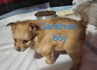 processed/a785401b-5dd3-470f-81ae-a4435096aa13/listing/5106ed02-6898-44b4-9df1-b2630e288f6c/490b53b2-de68-4cb0-b395-4d06e26b8cbf