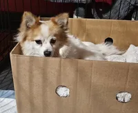 processed/a785401b-5dd3-470f-81ae-a4435096aa13/listing/5106ed02-6898-44b4-9df1-b2630e288f6c/4b152e3c-0201-4f3d-b336-1f4f260450cd