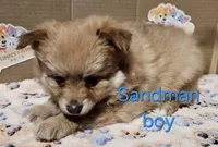 processed/a785401b-5dd3-470f-81ae-a4435096aa13/listing/5106ed02-6898-44b4-9df1-b2630e288f6c/99929eae-9a27-458c-bb21-4542c982b080