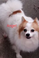 processed/a785401b-5dd3-470f-81ae-a4435096aa13/listing/8c8d8ba7-973b-447c-9cea-49297f9985b5/00392e35-68fd-44d6-83fb-a916de25f19b