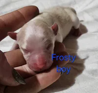 processed/a785401b-5dd3-470f-81ae-a4435096aa13/listing/8c8d8ba7-973b-447c-9cea-49297f9985b5/159f276c-9951-490d-9eae-3040a9cb181a