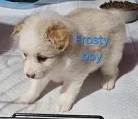 processed/a785401b-5dd3-470f-81ae-a4435096aa13/listing/8c8d8ba7-973b-447c-9cea-49297f9985b5/188065fb-76da-4ae8-a924-90bbb2e5f020