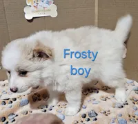 processed/a785401b-5dd3-470f-81ae-a4435096aa13/listing/8c8d8ba7-973b-447c-9cea-49297f9985b5/1af45c78-ad83-496f-9646-1934a3b4d361