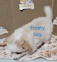 processed/a785401b-5dd3-470f-81ae-a4435096aa13/listing/8c8d8ba7-973b-447c-9cea-49297f9985b5/1c59d5ea-eac5-45ae-beb0-220f1056c535