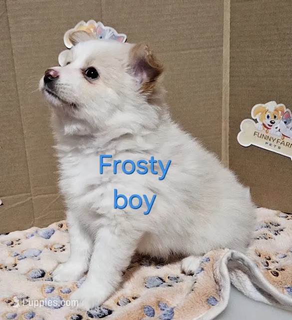 Frosty