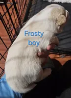 processed/a785401b-5dd3-470f-81ae-a4435096aa13/listing/8c8d8ba7-973b-447c-9cea-49297f9985b5/f2c98998-2e6e-4355-adea-22bcda7281b2