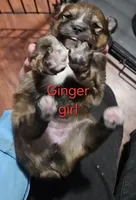 processed/a785401b-5dd3-470f-81ae-a4435096aa13/listing/ac59e42c-55f2-4e51-8be5-ef89cc37b1d9/07f9513a-cbe7-4156-8c56-f0e621862bca