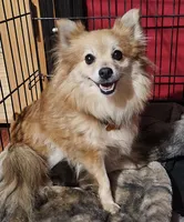 processed/a785401b-5dd3-470f-81ae-a4435096aa13/listing/ac59e42c-55f2-4e51-8be5-ef89cc37b1d9/8e5505ef-d590-43f3-bc99-d57619252287