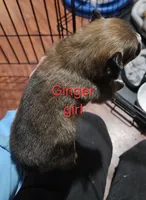 processed/a785401b-5dd3-470f-81ae-a4435096aa13/listing/ac59e42c-55f2-4e51-8be5-ef89cc37b1d9/8f5a7f50-8e8d-4429-aef7-c21d9ca672f9