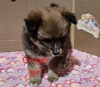 processed/a785401b-5dd3-470f-81ae-a4435096aa13/listing/ac59e42c-55f2-4e51-8be5-ef89cc37b1d9/bd03555a-efc2-4183-8d71-82c2c5e0bb24