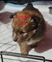 processed/a785401b-5dd3-470f-81ae-a4435096aa13/listing/ac59e42c-55f2-4e51-8be5-ef89cc37b1d9/c6ab26a5-2622-4c82-a5b9-ad5b59a54dfb