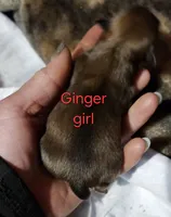 processed/a785401b-5dd3-470f-81ae-a4435096aa13/listing/ac59e42c-55f2-4e51-8be5-ef89cc37b1d9/e8953b2a-97ef-4d1a-8007-fa53d51eec8c