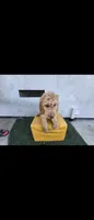 Cream 2, a male Afghan Hound and Poodle - Standard  for sale in Hemet, CA – 6 of 8
