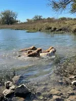 processed/a7a5f284-71a8-48df-98af-cd0c1f3823a1/facility/210362b0-485f-46d1-89c1-04005e91f58a