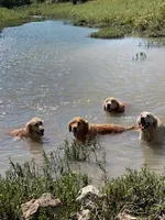 processed/a7a5f284-71a8-48df-98af-cd0c1f3823a1/facility/5425211d-3d18-4b4d-856f-f4933bc1ef23