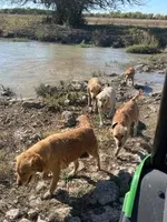 processed/a7a5f284-71a8-48df-98af-cd0c1f3823a1/facility/c2834a77-0990-4e2a-a155-5a84155a7d4a