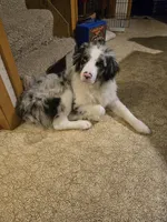 processed/a7a8e55f-fb4d-4bb1-bbea-27eea0a0df4f/listing/7d20b75e-7262-46df-be42-68329ab13a4d/26c49b54-ccce-400c-97e9-2843ec8ed46b