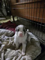 processed/a7a8e55f-fb4d-4bb1-bbea-27eea0a0df4f/listing/7d20b75e-7262-46df-be42-68329ab13a4d/38330e34-639e-427e-963c-edf5c7ef9391