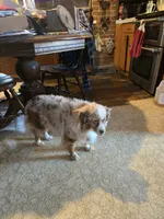 processed/a7a8e55f-fb4d-4bb1-bbea-27eea0a0df4f/listing/7d20b75e-7262-46df-be42-68329ab13a4d/8c6dac0c-a9a5-4213-a4d5-1b102ca0d66e