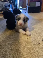 processed/a7a8e55f-fb4d-4bb1-bbea-27eea0a0df4f/listing/7d20b75e-7262-46df-be42-68329ab13a4d/a363e5f3-e012-43ad-96a3-8abd8ec5141f