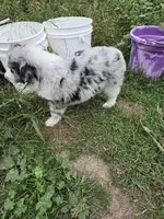 processed/a7a8e55f-fb4d-4bb1-bbea-27eea0a0df4f/listing/7d20b75e-7262-46df-be42-68329ab13a4d/b6d0ff0b-f905-4e28-b73a-0832d8e89034