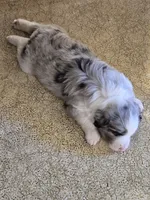 processed/a7a8e55f-fb4d-4bb1-bbea-27eea0a0df4f/listing/7d20b75e-7262-46df-be42-68329ab13a4d/d35fbec5-a5f2-4fd7-9e7c-b59ebe8cc10f