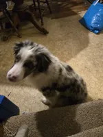 processed/a7a8e55f-fb4d-4bb1-bbea-27eea0a0df4f/listing/7d20b75e-7262-46df-be42-68329ab13a4d/e5bf094a-ad43-4315-8288-1eb888d80aa4