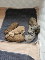 Facility photo