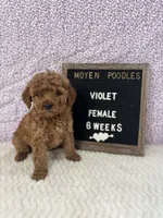 processed/a7b9d83f-cc74-472f-a476-597273806cd3/listing/3938298c-a675-420b-a995-0044598b91bd/1f2e9dd5-0d14-45a3-bc79-065965508276