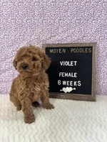 processed/a7b9d83f-cc74-472f-a476-597273806cd3/listing/3938298c-a675-420b-a995-0044598b91bd/3205d226-dd91-44fe-94b7-b9530269ab17