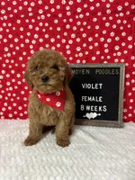 processed/a7b9d83f-cc74-472f-a476-597273806cd3/listing/3938298c-a675-420b-a995-0044598b91bd/467dc2e8-6611-4471-b876-c38ca92ed7e2