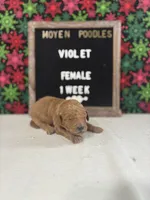 processed/a7b9d83f-cc74-472f-a476-597273806cd3/listing/3938298c-a675-420b-a995-0044598b91bd/7c4092c6-d816-4079-ab25-165b343aca01