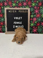 processed/a7b9d83f-cc74-472f-a476-597273806cd3/listing/3938298c-a675-420b-a995-0044598b91bd/7cddfc1a-ef44-46fb-81ce-8d5b2bfcf2b3