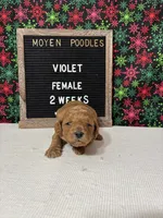 processed/a7b9d83f-cc74-472f-a476-597273806cd3/listing/3938298c-a675-420b-a995-0044598b91bd/a7e64a87-5626-4699-976f-df9868f3c06e