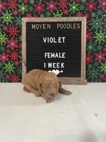 processed/a7b9d83f-cc74-472f-a476-597273806cd3/listing/3938298c-a675-420b-a995-0044598b91bd/ab45e8de-7c60-4958-ac3c-a4a8180a1f33