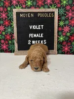 processed/a7b9d83f-cc74-472f-a476-597273806cd3/listing/3938298c-a675-420b-a995-0044598b91bd/bd72dd96-acca-41e2-81a5-7fdf568b0404