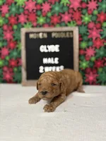 processed/a7b9d83f-cc74-472f-a476-597273806cd3/listing/67d00d49-38ab-457f-838f-b6b0b77ab68d/5673c6d8-c1bc-476f-ae63-0a53bcc28d85