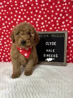 processed/a7b9d83f-cc74-472f-a476-597273806cd3/listing/67d00d49-38ab-457f-838f-b6b0b77ab68d/7e9a8eef-cf84-43f4-adbf-0640780e462f