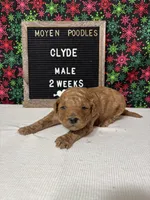 processed/a7b9d83f-cc74-472f-a476-597273806cd3/listing/67d00d49-38ab-457f-838f-b6b0b77ab68d/9a5668db-ddb7-4194-a85a-cb9e34f95486