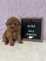 processed/a7b9d83f-cc74-472f-a476-597273806cd3/listing/67d00d49-38ab-457f-838f-b6b0b77ab68d/a35cdff3-fa7d-4c2f-879d-cb352cfb7a3b