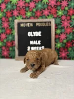 processed/a7b9d83f-cc74-472f-a476-597273806cd3/listing/67d00d49-38ab-457f-838f-b6b0b77ab68d/df5dc5e0-7d80-45e8-8504-ef98a012a804