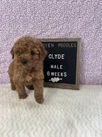 processed/a7b9d83f-cc74-472f-a476-597273806cd3/listing/67d00d49-38ab-457f-838f-b6b0b77ab68d/e8ae824a-8c41-4151-8793-82a27d995003