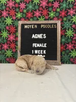 processed/a7b9d83f-cc74-472f-a476-597273806cd3/listing/99dc9bc3-c416-4c63-bc1d-3fef1c165961/13fee8c2-df0a-4311-8802-9cf29238011d